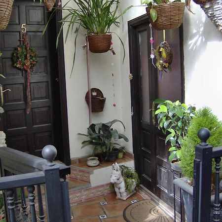 Holiday Home To The Street With Big Kitchen Icod De Los Vinos Exterior photo