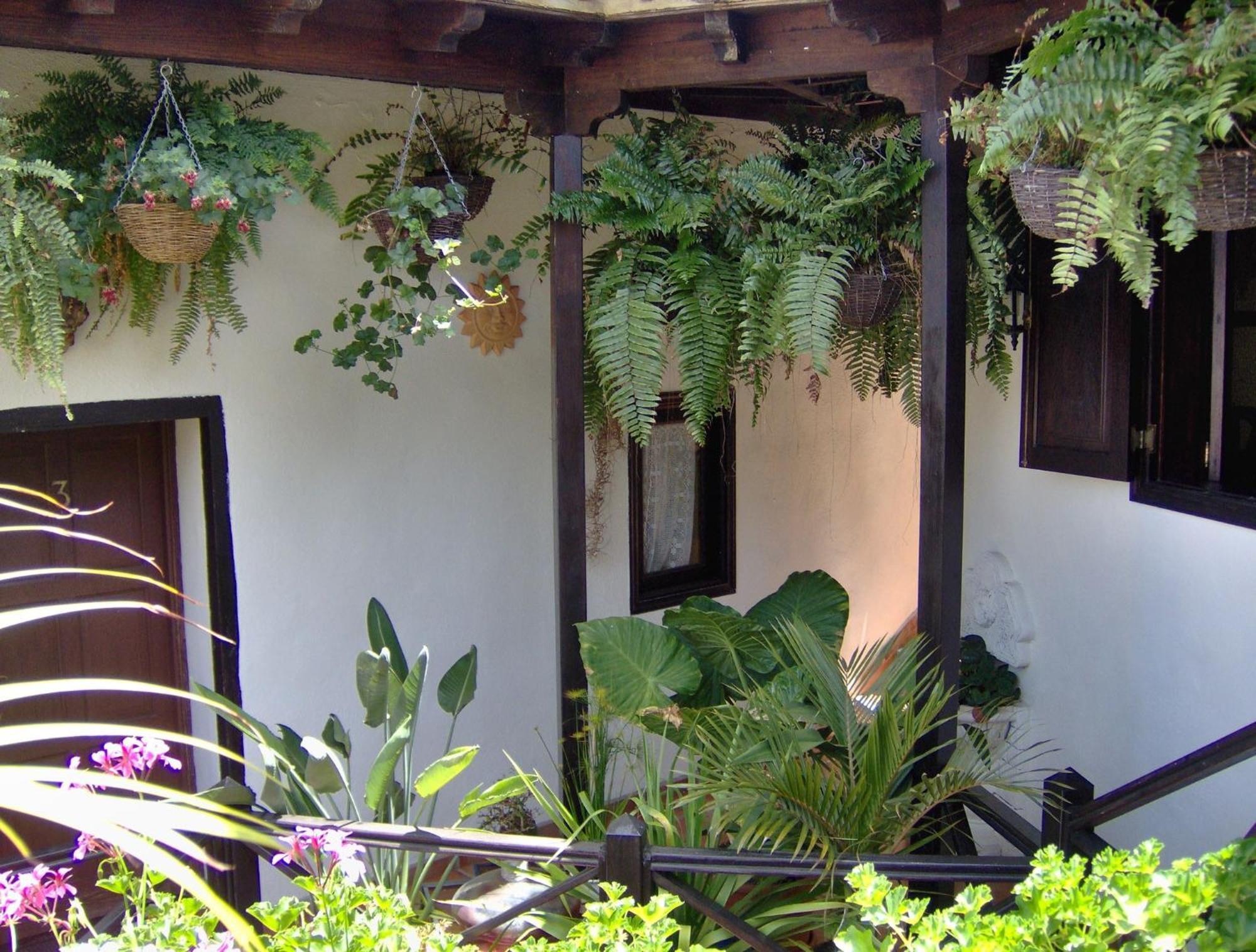 Holiday Home To The Street With Big Kitchen Icod De Los Vinos Exterior photo