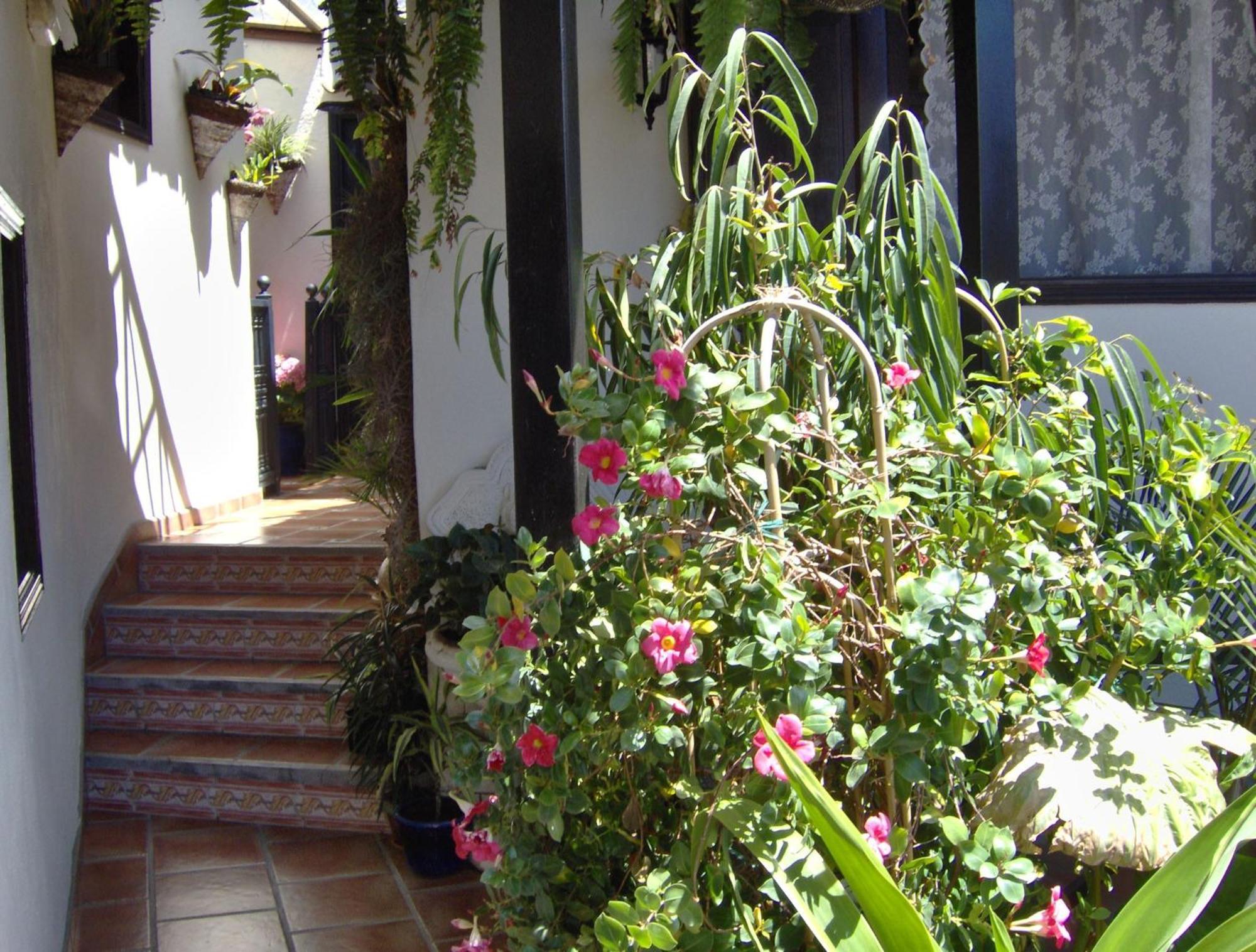 Holiday Home To The Street With Big Kitchen Icod De Los Vinos Exterior photo
